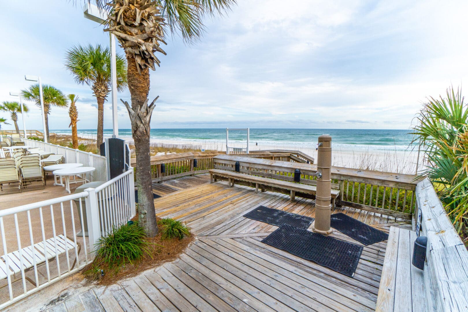 A wooden deck with benches and palm trees near the ocean.