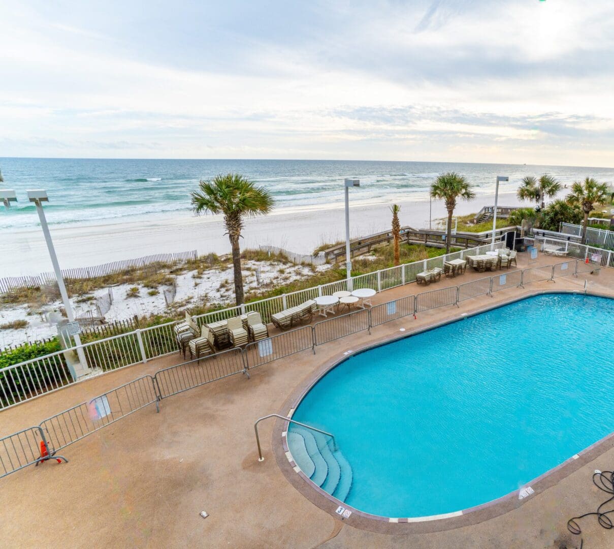 A pool with an ocean view and palm trees.